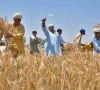 punjab allocates rs91 9b for agriculture punjab allocates rs91 9b for agriculture