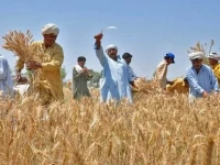punjab allocates rs91 9b for agriculture
