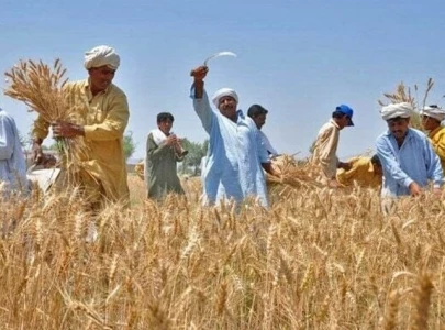 punjab allocates rs91 9b for agriculture punjab allocates rs91 9b for agriculture