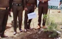 27 dismissed cops reinstated on condition of planting trees