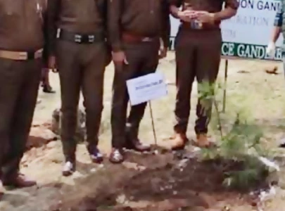 27 dismissed cops reinstated on condition of planting trees 27 dismissed cops reinstated on condition of planting trees