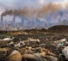 industrial pollution haunts hattar
