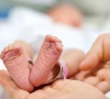 probe ordered into newborn extortion claim probe ordered into newborn extortion claim