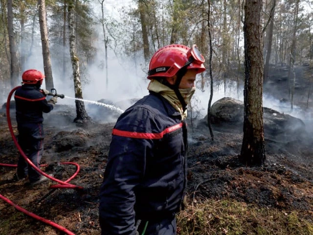 french firefighters work to extinguish a wildfire in the fontainebleau forest in noisy sur ecole france photo reuters french firefighters work to extinguish a wildfire in the fontainebleau forest in noisy sur ecole france photo reuters