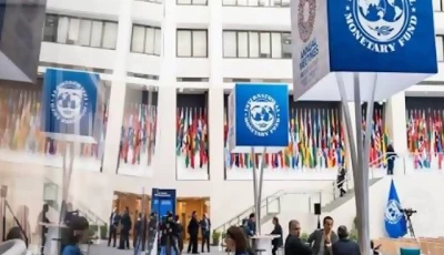 panel to pick imf senior adviser panel to pick imf senior adviser