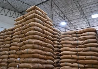 wheat stocks set for release wheat stocks set for release