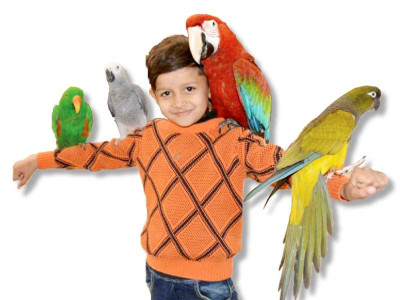 lahore malls offer bird s eye view