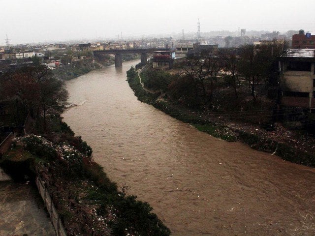 the banks of nullah leh were previously infested by dengue and other water borne diseases photo express