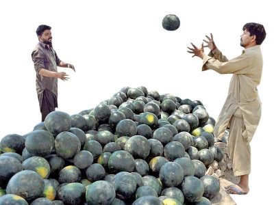 drop in prices sees demand for watermelons spike in twin cities drop in prices sees demand for watermelons spike in twin cities