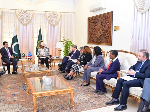 economic affairs minister ahad cheema met with the delegation of executive directors eds and alternate executive directors aeds from the world bank group wbg in islamabad on february 17 2025 courtesy pid economic affairs minister ahad cheema met with the delegation of executive directors eds and alternate executive directors aeds from the world bank group wbg in islamabad on february 17 2025 courtesy pid