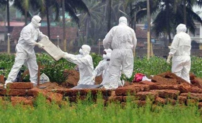 nih sees low risk of nipah virus outbreak