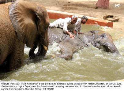 city of lights sizzles as mercury soars to 46 c city of lights sizzles as mercury soars to 46 c