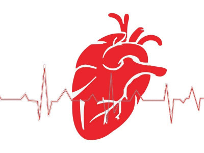 world no tobacco day prioritise tobacco control to cut cardiovascular diseases world no tobacco day prioritise tobacco control to cut cardiovascular diseases