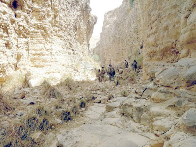 three militants killed in fc terror sweep