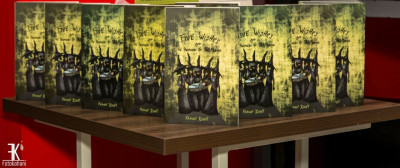 National Book Foundation Publishes Pakistan S First Fantasy Book