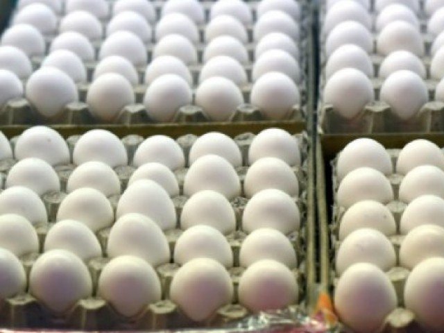 barkat frisian pasteurised egg plant at the bin qasim industrial park was a sign of trust of international companies in pakistan s economy photo express