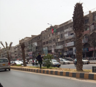 date trees planted on university road dry up date trees planted on university road dry up
