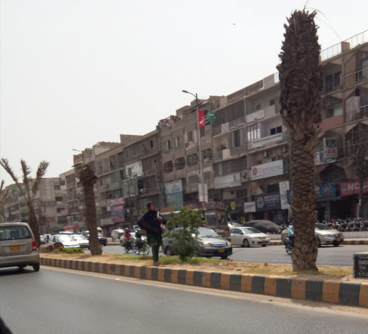 interestingly the trees were planted at a location   the median of university road   where a bus rapid transit system is planned to be constructed photo express