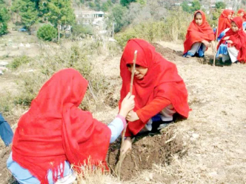 27 million trees planted under green plantation programme