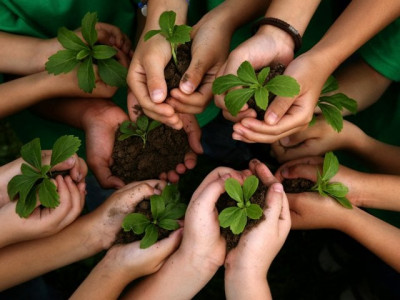 4 ways to live an eco friendly lifestyle 4 ways to live an eco friendly lifestyle