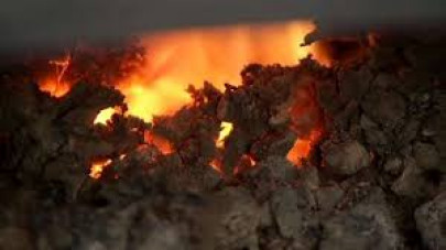 foul play comsats bioinformatics lab burnt