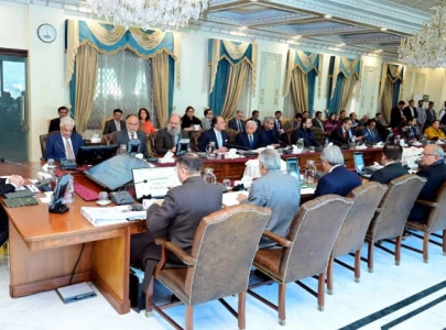 pm shehbaz praises record increase in remittances reflecting trust of overseas pakistanis