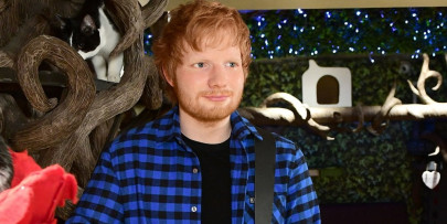 eerily similar ed sheeran wax figure unveiled at london s cat cafe