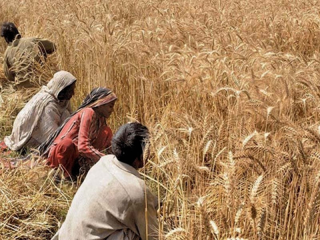 to obtain the benefit farmers will submit the invoice receipt by contacting the designated bank and after necessary action loan of up to 70 according to the current rate of the crop will be disbursed photo file to obtain the benefit farmers will submit the invoice receipt by contacting the designated bank and after necessary action loan of up to 70 according to the current rate of the crop will be disbursed photo file
