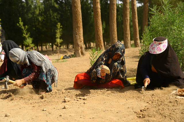 in this photograph taken on june 2 2018 afghan women work the soil at a park in the city of herat according to the world bank 19 percent of afghan women had official jobs in 2017 photo afp