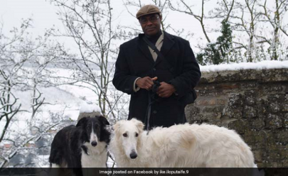 us man wrongly linked to burglary after walking dog while black us man wrongly linked to burglary after walking dog while black
