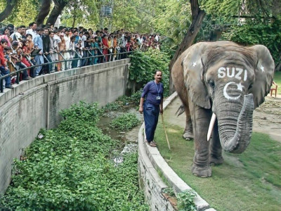 lahore official reviews arrangements at zoo