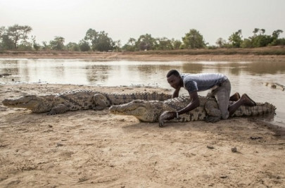 watch a village where people love to sit on crocodiles