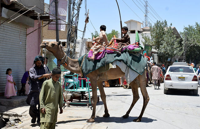children riding a camel on the occasion of eidul fitr photo express