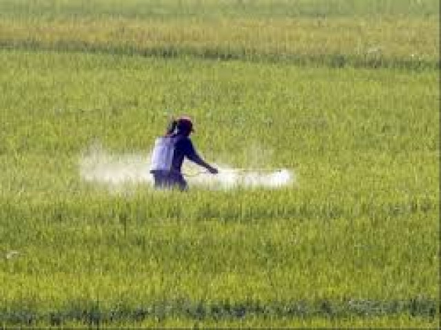 fertilizer manufacturers of pakistan advisory council spokesman dismissed the perception that urea price had been climbing continuously photo reuters fertilizer manufacturers of pakistan advisory council spokesman dismissed the perception that urea price had been climbing continuously photo reuters