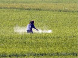 fertilizer manufacturers of pakistan advisory council spokesman dismissed the perception that urea price had been climbing continuously photo reuters