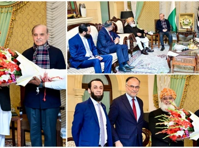 pm shehbaz visits fazlur rehman to discuss political matters pm shehbaz visits fazlur rehman to discuss political matters