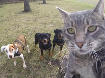 world selfie day 2018 8 of the best selfies of all time world selfie day 2018 8 of the best selfies of all time