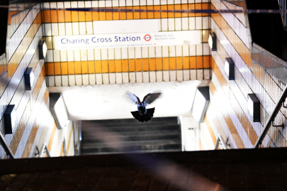 british police arrest man claiming to have a bomb at london rail station british police arrest man claiming to have a bomb at london rail station