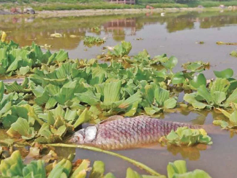 rawal lake photo file rawal lake photo file
