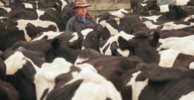 china lifts ban on import of british beef