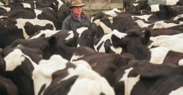 china has lifted a ban on importing british beef after more than 20 years in a move the uk government hailed as the culmnination of years of work photo afp