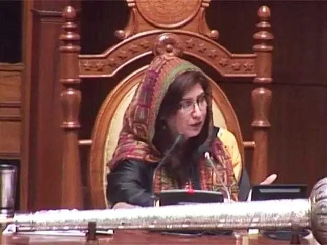 shehla raza photo file shehla raza photo file
