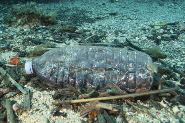 plastic waste on an ocean bed photo afp plastic waste on an ocean bed photo afp