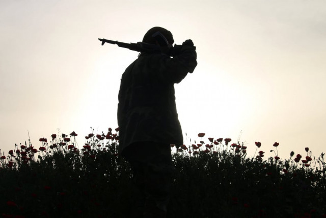 an opposition fighter walks in a field of poppies in a rebel held area in the southern syrian city of daraa photo afp an opposition fighter walks in a field of poppies in a rebel held area in the southern syrian city of daraa photo afp