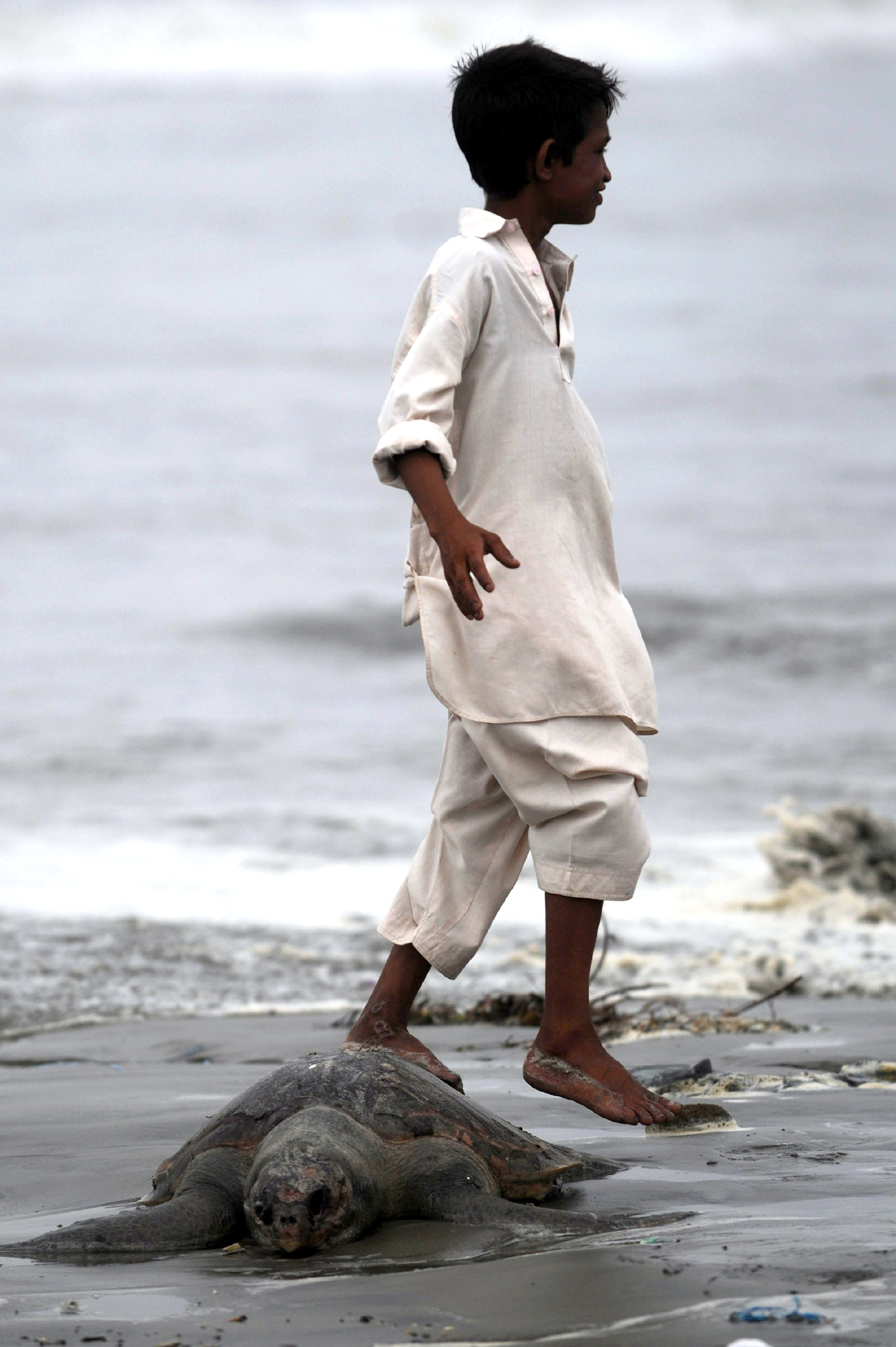 according to justice retd amir hani muslim the release of untreated sewage into the sea was destroying marine life photo afp