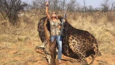female hunter scorned for posing with dead rare black giraffe