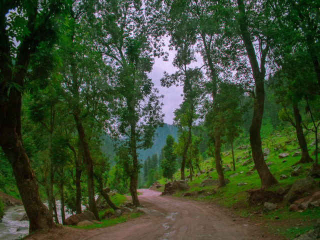photo muhammad ibrahim