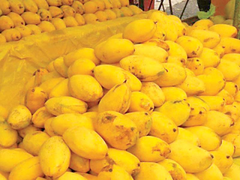 mangoes on a fruit stall photo file