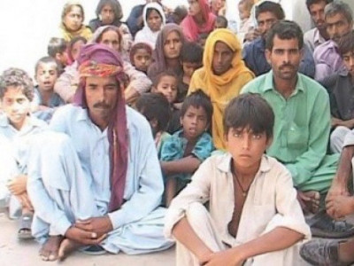 plan to revive population commission plan to revive population commission