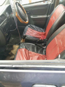 political worker shot dead in peshawar